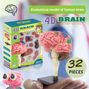 NeuroBrain 4D Mini Model - 32 Realistic Pieces 