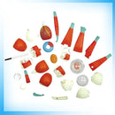 Human Eye Explorer 4D Mini - 32 Realistic Pieces 