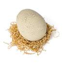 RexAlive™ Interactive Dino - The dinosaur that’s born right before your eyes